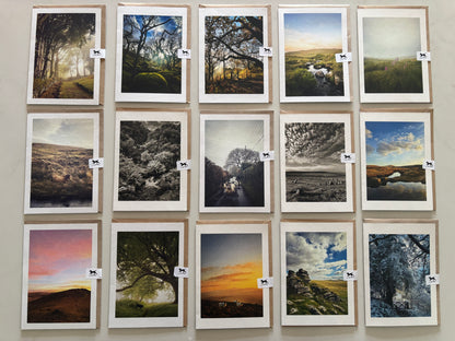 Wholesale Mixed Card Pack (250 cards)