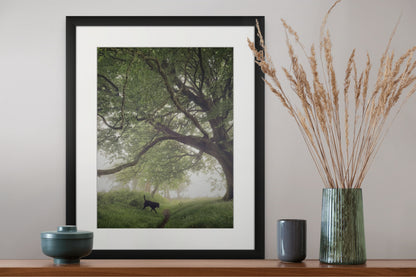 Sheep Field Trees  (Giclée art print)