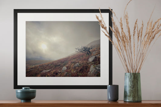 Framed giclee art print of Tavy Cleave, Dartmoor with a lone Hawthorn on the side and sun through heavy winter sky